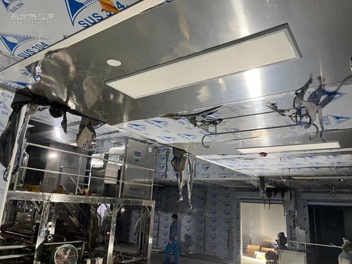 食品加工行業(yè)萬級無塵無菌凈化與安防工程一體化設計與施工