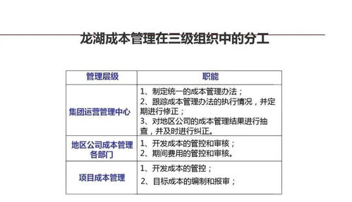 龍湖集團企業管理與運營的精細化管理及其軟件開發實踐