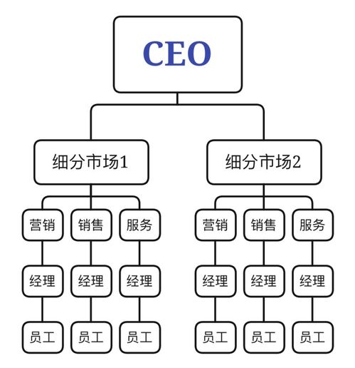 洞悉商業(yè)巨擎 6大電商企業(yè)管理結(jié)構(gòu)深度剖析